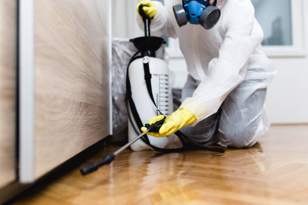 Best Pest Removal Services  in Woodway, TX
