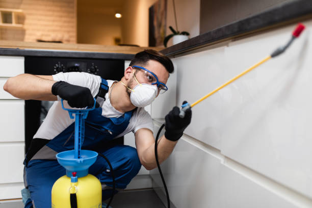 Best Bed Bug Extermination  in Woodway, TX