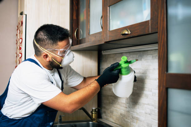 Best Pest Inspection Near Me  in Woodway, TX