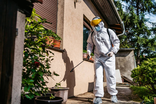 Best Pest Prevention Services  in Woodway, TX