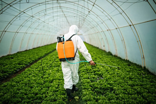 Best Affordable Pest Control Services  in Woodway, TX