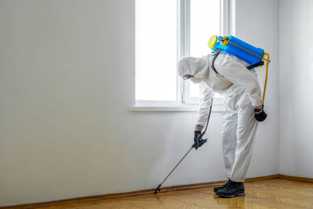 Best Affordable Pest Control Services  in Woodway, TX