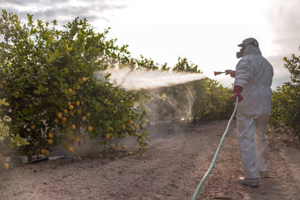 Best Cockroach Control Services  in Woodway, TX