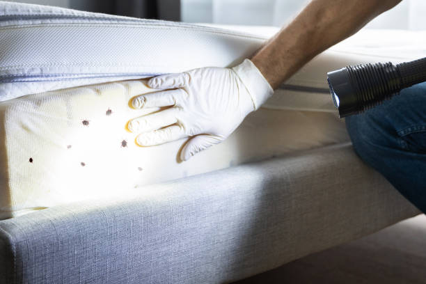 Best Emergency Pest Control  in Woodway, TX