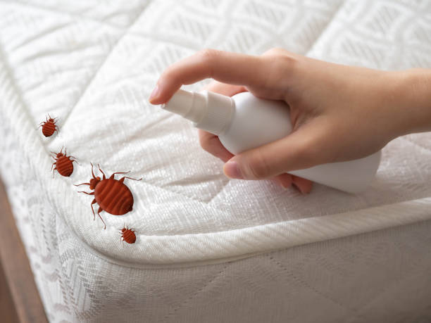 Best Emergency Pest Control  in Woodway, TX