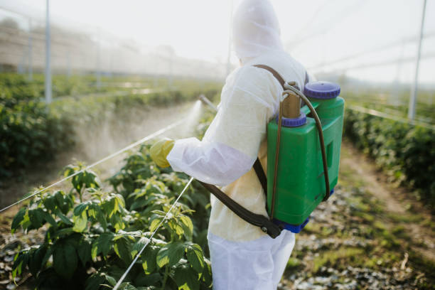 Best Mosquito Control Services  in Woodway, TX